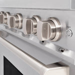 ZLINE KITCHEN & BATH Classic 30-in Standard 4 burners Convection Oven Freestanding Dual Fuel Range ( Stainless Steel )