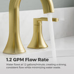 Pfister Vaneri Brushed Gold Widespread 2-handle WaterSense High-arc Bathroom Sink Faucet with Drain