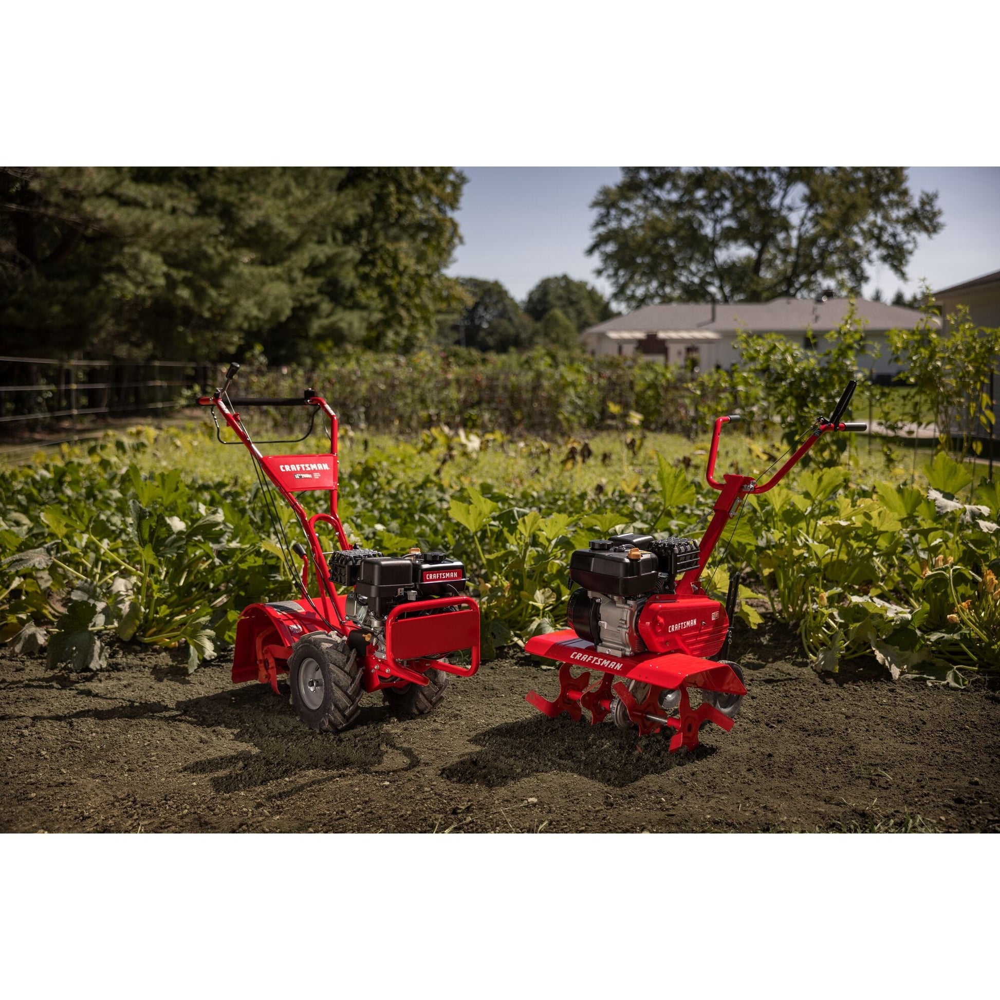CRAFTSMAN 208-cc 16-in Rear -Tine Counter-rotating Tiller
