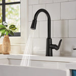 Moen Edwyn Matte Black Single Handle Deck-mount Pull-down Kitchen Faucet with Sprayer (Includes Deck Plate) (Includes Soap Dispenser)