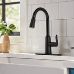 Moen Edwyn Matte Black Single Handle Deck-mount Pull-down Kitchen Faucet with Sprayer (Includes Deck Plate) (Includes Soap Dispenser)
