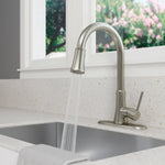 Pfister Classic Stainless Steel Single Handle Deck-mount Kitchen Faucet with Sprayer (Includes Deck Plate)
