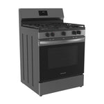Frigidaire 30-in 5 burners 5.1-cu ft Freestanding Natural Gas Range ( Stainless Steel )