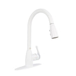 Project Source Tucker Stainless steel Single Handle Deck-mount Pull-down Kitchen Faucet with Sprayer (Includes Deck Plate)