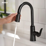 Moen Edwyn Matte Black Single Handle Deck-mount Pull-down Kitchen Faucet with Sprayer (Includes Deck Plate) (Includes Soap Dispenser)