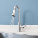 Moen Edwyn Spot Resist Stainless Single Handle Deck-mount Pull-down Kitchen Faucet with Sprayer (Includes Deck Plate) (Includes Soap Dispenser)