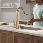Delta Trask Gold Champagne Bronze Single Handle Deck-mount Pull-down Kitchen Faucet with Sprayer (Includes Deck Plate)