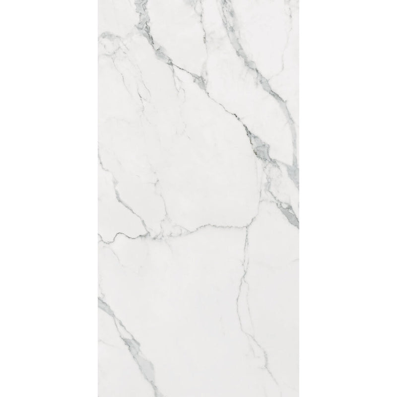 Luxe Statuario 24x48 Polished Tile, 9mm, 2pcs, 60 lbs, 15.5sf, [FB210], FINAL PRICE: $1.99/sf, $30.85/bx