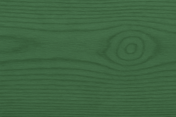 Close-up of green wooden texture with a prominent grain pattern