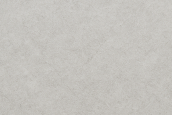 Solid light gray color swatch