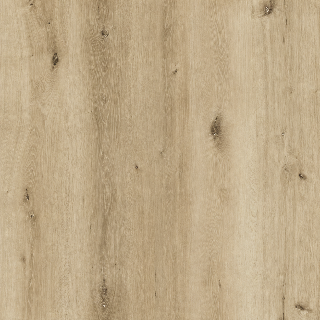 Reducer Light Birch RM-AM205
