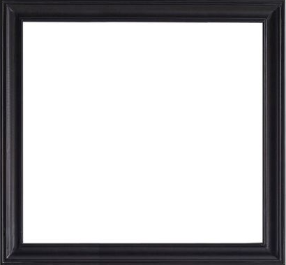 Virtu 46-in Mirror Espresso Beveled (46" x 31.5"), Retail: $436.00