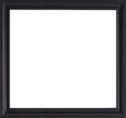 Virtu 24-in Mirror Espresso Beveled (24" x 31.5"), Retail: $311.00