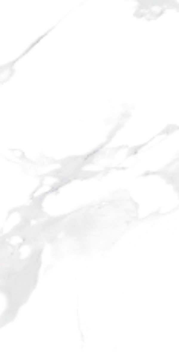 Mild Satvario 24x48 Matte Tile, 9mm, 2pcs, 60lbs, 15.5sf, FINAL PRICE: $1.99/sf, $30.85/bx