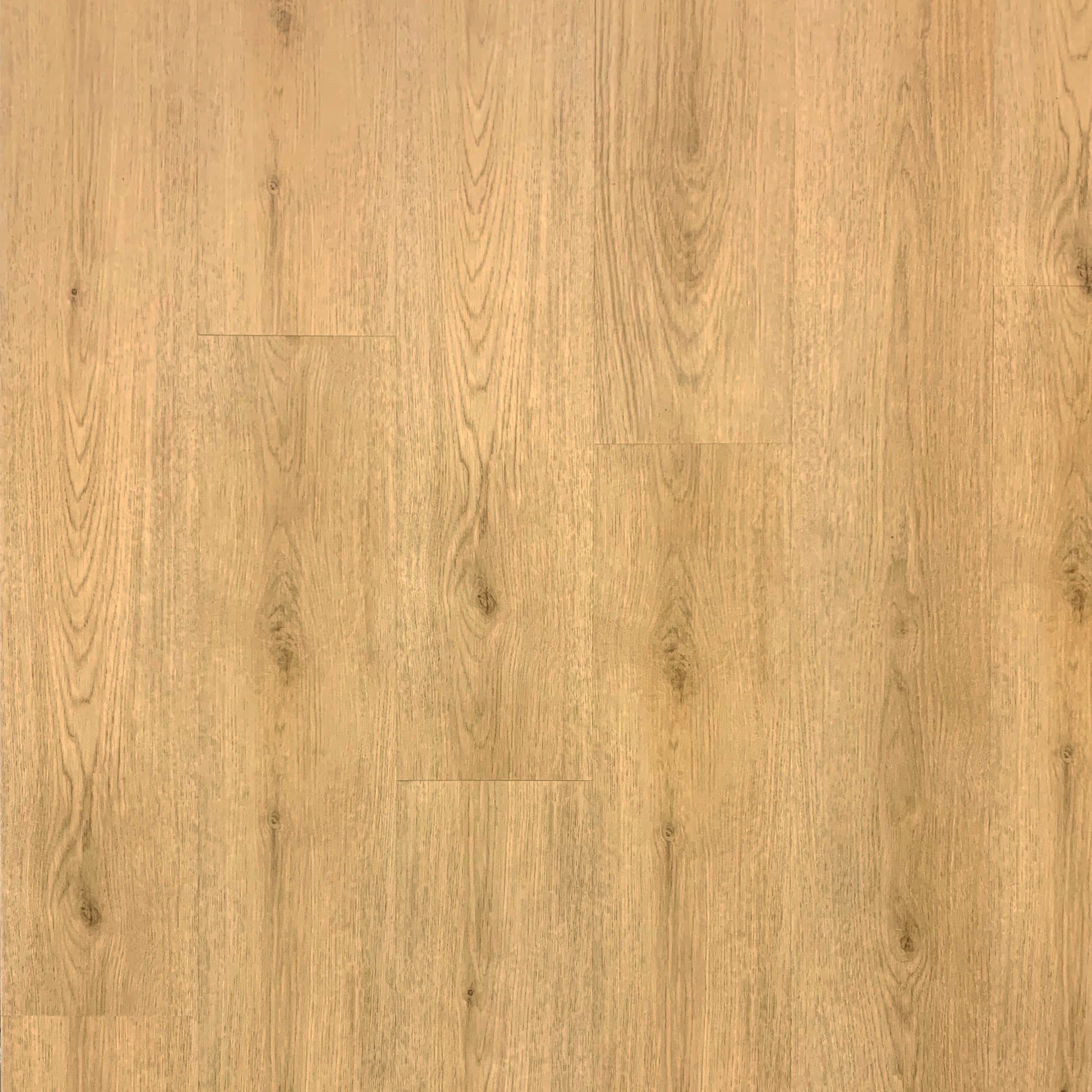 T-Mold Sunlit Pine TM-AM147