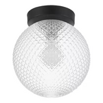 Hamton Bay Walsh 8 in. 1-Light Black Flush Mount with Prismatic Glass Shade, 24137-004