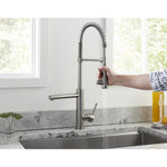 Giagni 24-in Kitchen Faucet with Pull-Down Metal Spray Head & Pot Filler