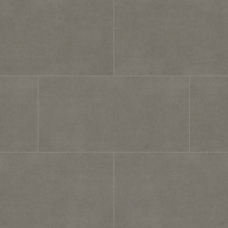 Gris 24x48 Matte Porcelain Stone Look Floor and Wall Tile, 16sf, 2pcs, 73 lbs, FINAL PRICE: $0.99/sf, $15.84/bx