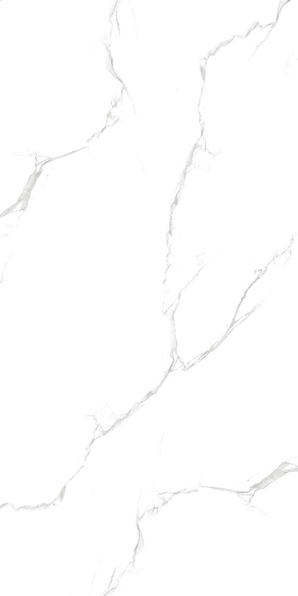 Libarto Satvario 24x48 Polished Tile, 9mm, 2pcs, 60lbs, 15.5sf, FINAL PRICE: $1.99/sf, $30.85/bx