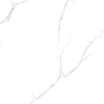 Libarto Satvario 24x48 Matte Tile, 9mm, 2pcs, 60lbs, 15.5sf, FINAL PRICE: $1.99/sf, $30.85/bx