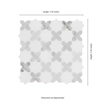 Vera Anne 12x12 Polished Marble Mesh-Mounted Mosaic Floor and Wall Tile, SMOT-VERAN-POL10MM, 9.7sf, 10 pcs, 49 lbs, FINAL PRICE: $11.99/pc, $119.90/box + Tax